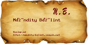 Mándity Bálint névjegykártya
