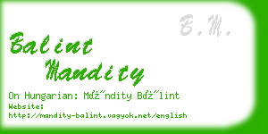 balint mandity business card